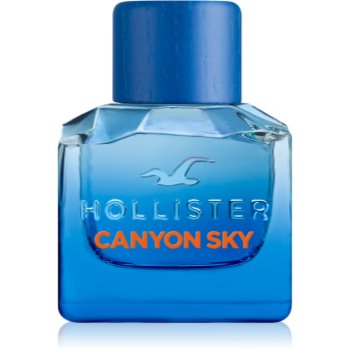 Hollister Canyon Sky For Him Eau de Toilette pentru bărbați - imagine 2